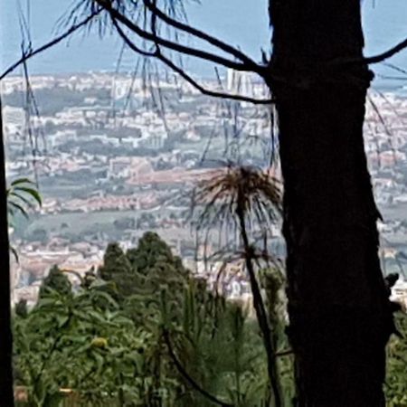Finca La Casita Ля Оротава Экстерьер фото
