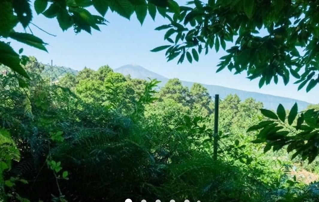 Finca La Casita Ля Оротава Экстерьер фото